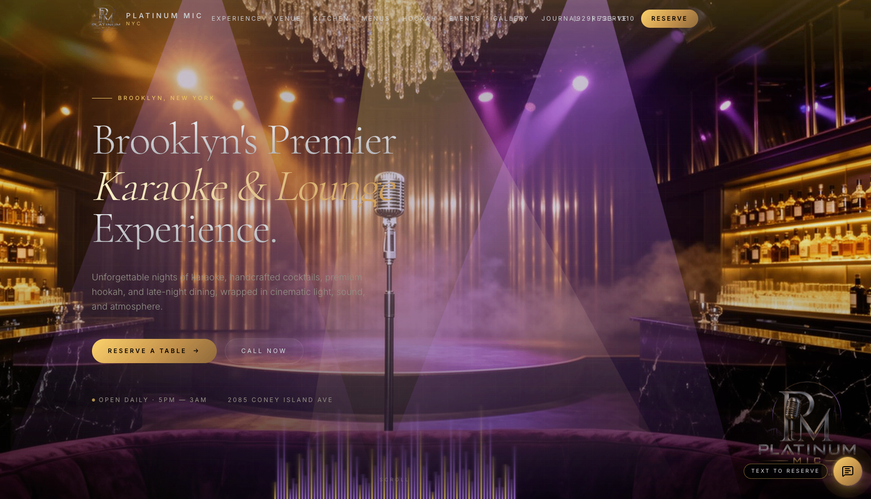 Platinum Mic website preview